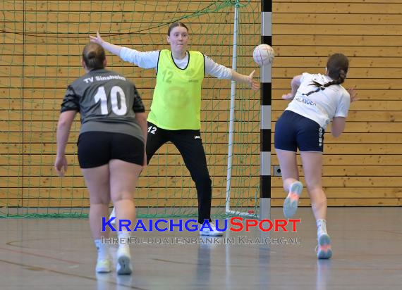 Frauen-Bezirksoberliga-RN-TV-Sinsheim-vs-TSV-Phönix-Steinsfurt (&copy; Siegfried Lörz)