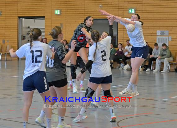 Frauen-Bezirksoberliga-RN-TV-Sinsheim-vs-TSV-Phönix-Steinsfurt (&copy; Siegfried Lörz)