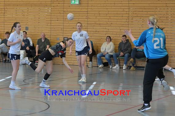 Frauen-Bezirksoberliga-RN-TV-Sinsheim-vs-TSV-Phönix-Steinsfurt (&copy; Siegfried Lörz)