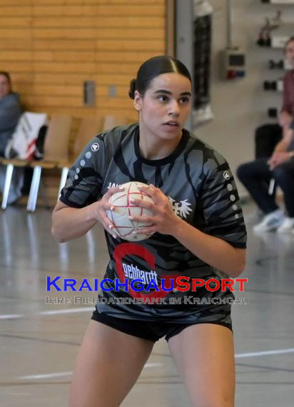 Frauen-Bezirksoberliga-RN-TV-Sinsheim-vs-TSV-Phönix-Steinsfurt (&copy; Siegfried Lörz)