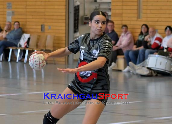 Frauen-Bezirksoberliga-RN-TV-Sinsheim-vs-TSV-Phönix-Steinsfurt (&copy; Siegfried Lörz)