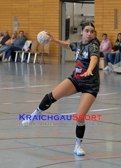 Frauen-Bezirksoberliga-RN-TV-Sinsheim-vs-TSV-Phönix-Steinsfurt (&copy; Siegfried Lörz)