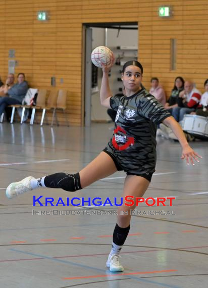 Frauen-Bezirksoberliga-RN-TV-Sinsheim-vs-TSV-Phönix-Steinsfurt (&copy; Siegfried Lörz)