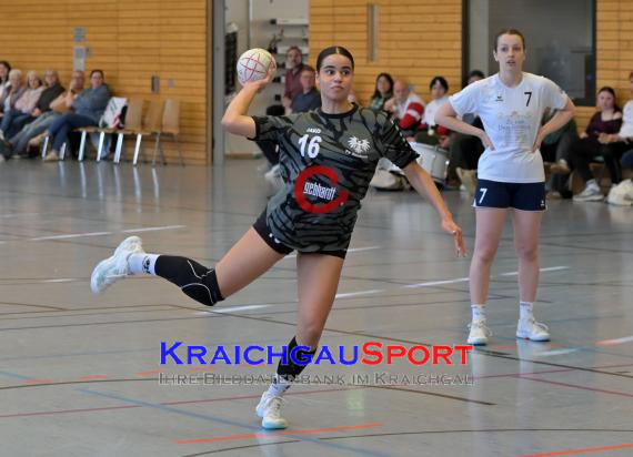 Frauen-Bezirksoberliga-RN-TV-Sinsheim-vs-TSV-Phönix-Steinsfurt (&copy; Siegfried Lörz)