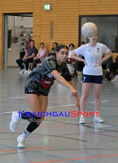 Frauen-Bezirksoberliga-RN-TV-Sinsheim-vs-TSV-Phönix-Steinsfurt (&copy; Siegfried Lörz)