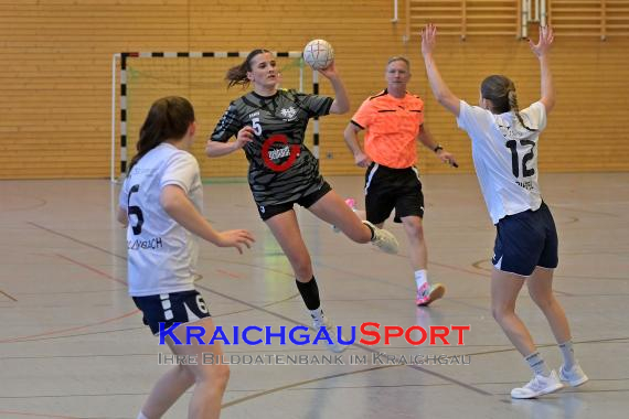 Frauen-Bezirksoberliga-RN-TV-Sinsheim-vs-TSV-Phönix-Steinsfurt (&copy; Siegfried Lörz)