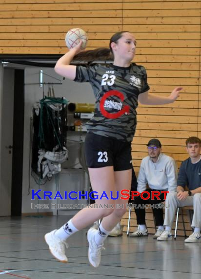 Frauen-Bezirksoberliga-RN-TV-Sinsheim-vs-TSV-Phönix-Steinsfurt (&copy; Siegfried Lörz)