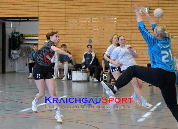 Frauen-Bezirksoberliga-RN-TV-Sinsheim-vs-TSV-Phönix-Steinsfurt (&copy; Siegfried Lörz)