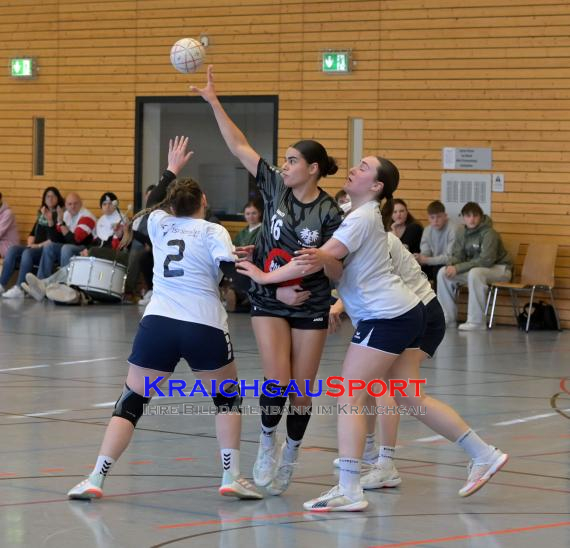 Frauen-Bezirksoberliga-RN-TV-Sinsheim-vs-TSV-Phönix-Steinsfurt (&copy; Siegfried Lörz)