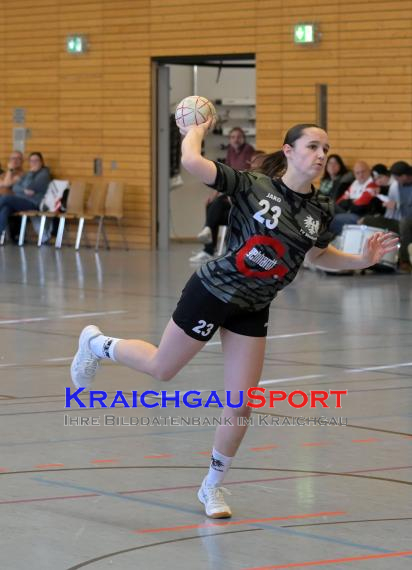 Frauen-Bezirksoberliga-RN-TV-Sinsheim-vs-TSV-Phönix-Steinsfurt (&copy; Siegfried Lörz)