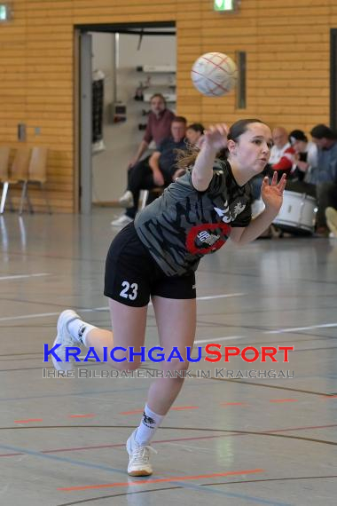 Frauen-Bezirksoberliga-RN-TV-Sinsheim-vs-TSV-Phönix-Steinsfurt (&copy; Siegfried Lörz)