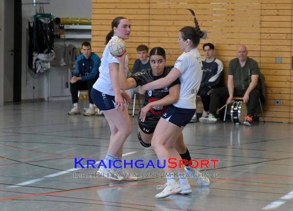 Frauen-Bezirksoberliga-RN-TV-Sinsheim-vs-TSV-Phönix-Steinsfurt (&copy; Siegfried Lörz)