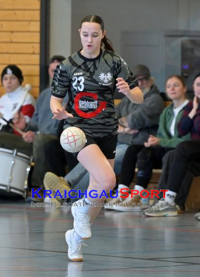 Frauen-Bezirksoberliga-RN-TV-Sinsheim-vs-TSV-Phönix-Steinsfurt (&copy; Siegfried Lörz)