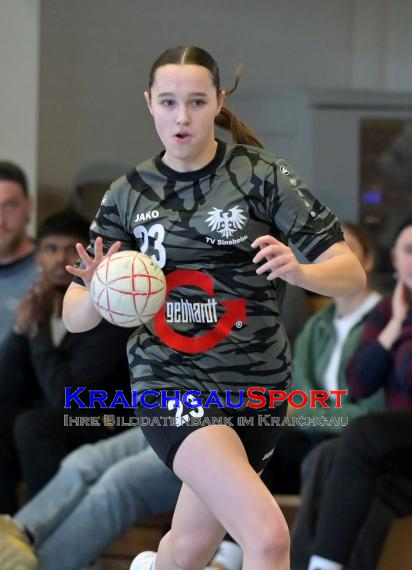 Frauen-Bezirksoberliga-RN-TV-Sinsheim-vs-TSV-Phönix-Steinsfurt (&copy; Siegfried Lörz)