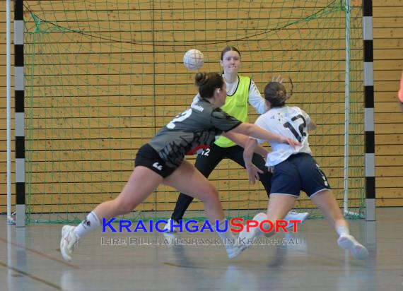 Frauen-Bezirksoberliga-RN-TV-Sinsheim-vs-TSV-Phönix-Steinsfurt (&copy; Siegfried Lörz)