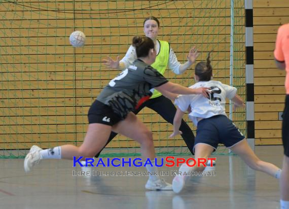 Frauen-Bezirksoberliga-RN-TV-Sinsheim-vs-TSV-Phönix-Steinsfurt (&copy; Siegfried Lörz)