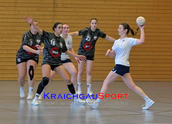 Frauen-Bezirksoberliga-RN-TV-Sinsheim-vs-TSV-Phönix-Steinsfurt (&copy; Siegfried Lörz)