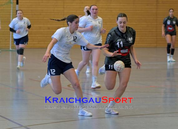 Frauen-Bezirksoberliga-RN-TV-Sinsheim-vs-TSV-Phönix-Steinsfurt (&copy; Siegfried Lörz)