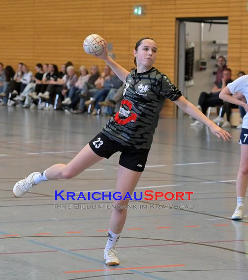 Frauen-Bezirksoberliga-RN-TV-Sinsheim-vs-TSV-Phönix-Steinsfurt (&copy; Siegfried Lörz)