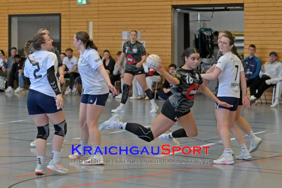 Frauen-Bezirksoberliga-RN-TV-Sinsheim-vs-TSV-Phönix-Steinsfurt (&copy; Siegfried Lörz)