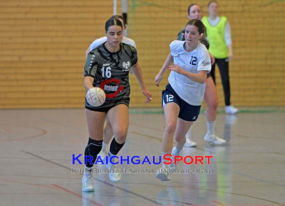 Frauen-Bezirksoberliga-RN-TV-Sinsheim-vs-TSV-Phönix-Steinsfurt (&copy; Siegfried Lörz)