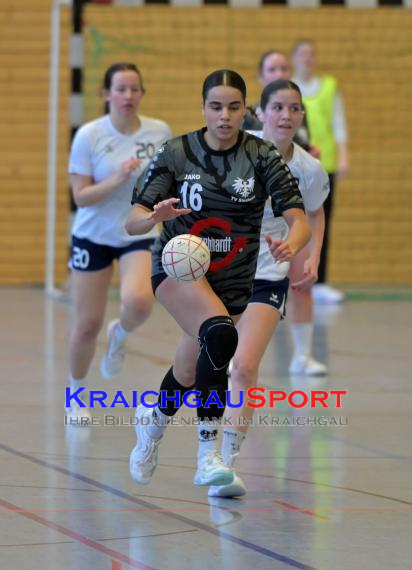 Frauen-Bezirksoberliga-RN-TV-Sinsheim-vs-TSV-Phönix-Steinsfurt (&copy; Siegfried Lörz)