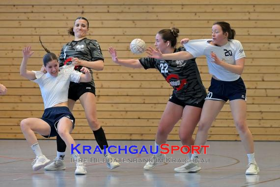 Frauen-Bezirksoberliga-RN-TV-Sinsheim-vs-TSV-Phönix-Steinsfurt (&copy; Siegfried Lörz)