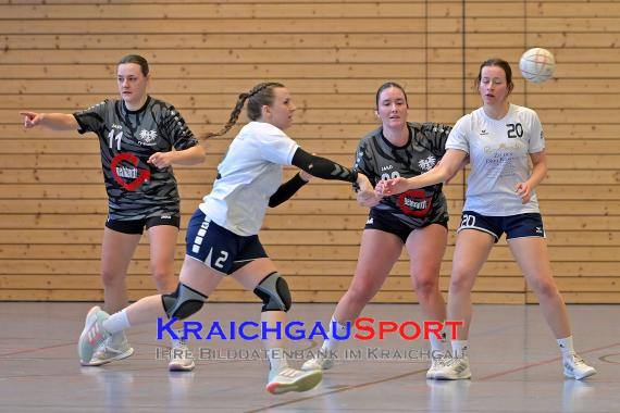 Frauen-Bezirksoberliga-RN-TV-Sinsheim-vs-TSV-Phönix-Steinsfurt (&copy; Siegfried Lörz)