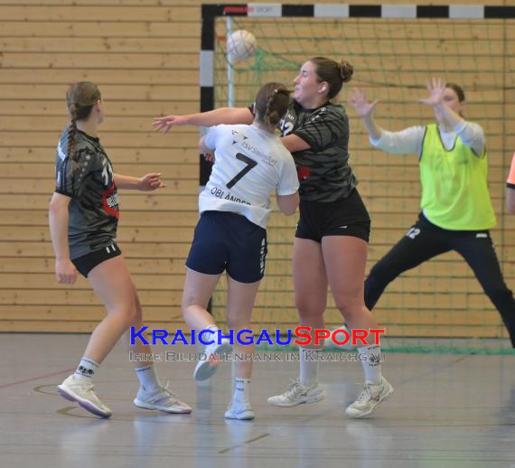 Frauen-Bezirksoberliga-RN-TV-Sinsheim-vs-TSV-Phönix-Steinsfurt (&copy; Siegfried Lörz)