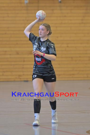 Frauen-Bezirksoberliga-RN-TV-Sinsheim-vs-TSV-Phönix-Steinsfurt (&copy; Siegfried Lörz)