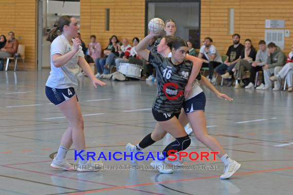 Frauen-Bezirksoberliga-RN-TV-Sinsheim-vs-TSV-Phönix-Steinsfurt (&copy; Siegfried Lörz)