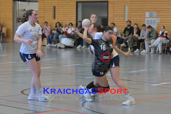 Frauen-Bezirksoberliga-RN-TV-Sinsheim-vs-TSV-Phönix-Steinsfurt (&copy; Siegfried Lörz)