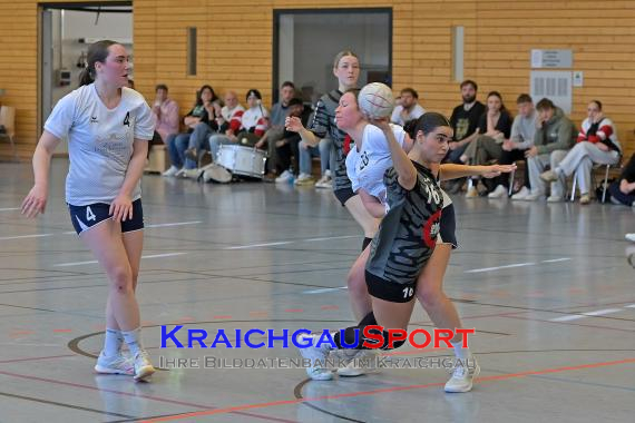 Frauen-Bezirksoberliga-RN-TV-Sinsheim-vs-TSV-Phönix-Steinsfurt (&copy; Siegfried Lörz)