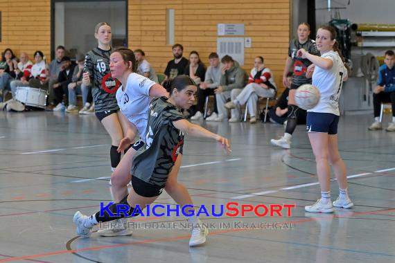 Frauen-Bezirksoberliga-RN-TV-Sinsheim-vs-TSV-Phönix-Steinsfurt (&copy; Siegfried Lörz)