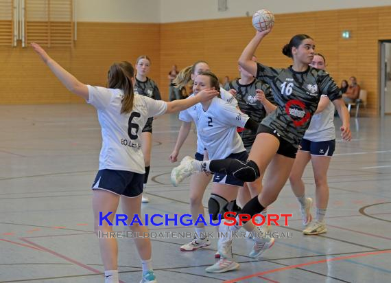 Frauen-Bezirksoberliga-RN-TV-Sinsheim-vs-TSV-Phönix-Steinsfurt (&copy; Siegfried Lörz)