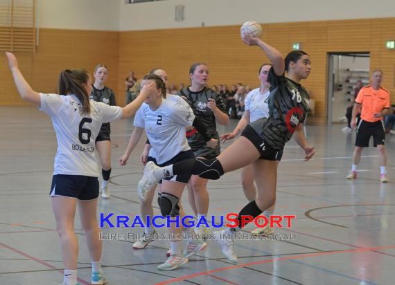 Frauen-Bezirksoberliga-RN-TV-Sinsheim-vs-TSV-Phönix-Steinsfurt (&copy; Siegfried Lörz)