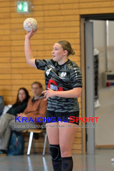 Frauen-Bezirksoberliga-RN-TV-Sinsheim-vs-TSV-Phönix-Steinsfurt (&copy; Siegfried Lörz)