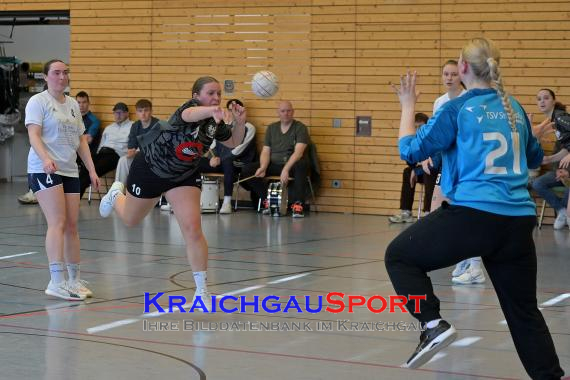 Frauen-Bezirksoberliga-RN-TV-Sinsheim-vs-TSV-Phönix-Steinsfurt (&copy; Siegfried Lörz)