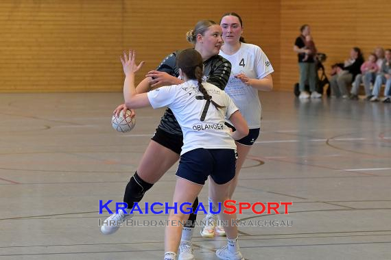 Frauen-Bezirksoberliga-RN-TV-Sinsheim-vs-TSV-Phönix-Steinsfurt (&copy; Siegfried Lörz)