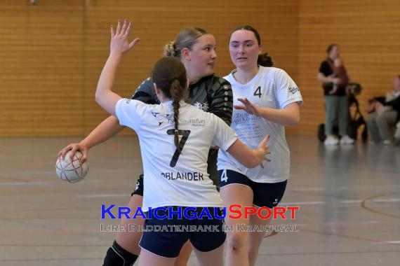 Frauen-Bezirksoberliga-RN-TV-Sinsheim-vs-TSV-Phönix-Steinsfurt (&copy; Siegfried Lörz)