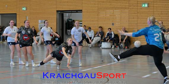 Frauen-Bezirksoberliga-RN-TV-Sinsheim-vs-TSV-Phönix-Steinsfurt (&copy; Siegfried Lörz)