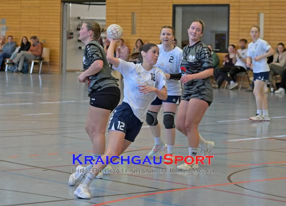 Frauen-Bezirksoberliga-RN-TV-Sinsheim-vs-TSV-Phönix-Steinsfurt (&copy; Siegfried Lörz)