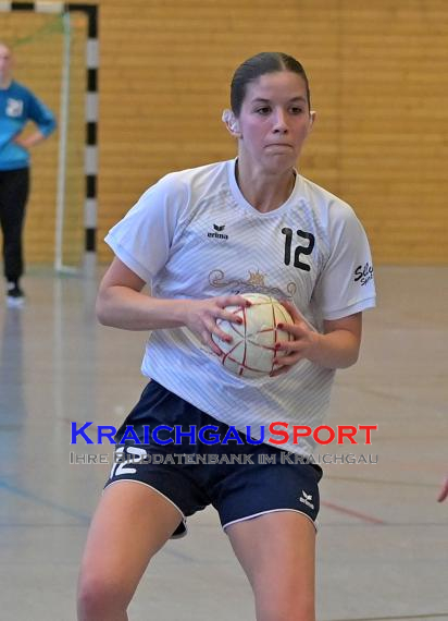 Frauen-Bezirksoberliga-RN-TV-Sinsheim-vs-TSV-Phönix-Steinsfurt (&copy; Siegfried Lörz)