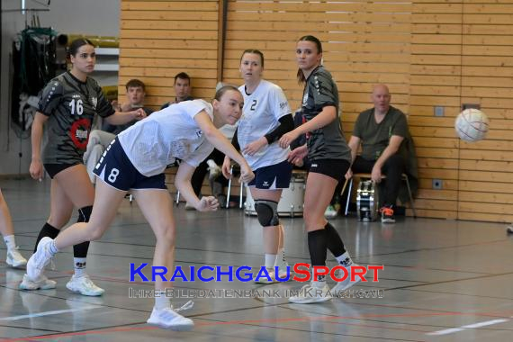 Frauen-Bezirksoberliga-RN-TV-Sinsheim-vs-TSV-Phönix-Steinsfurt (&copy; Siegfried Lörz)