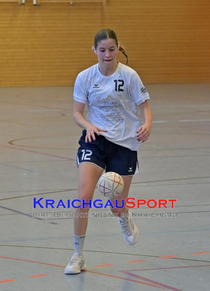 Frauen-Bezirksoberliga-RN-TV-Sinsheim-vs-TSV-Phönix-Steinsfurt (&copy; Siegfried Lörz)