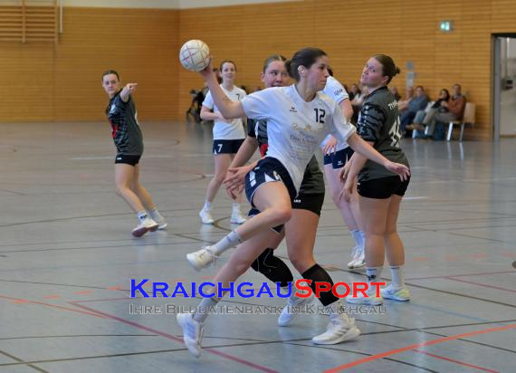 Frauen-Bezirksoberliga-RN-TV-Sinsheim-vs-TSV-Phönix-Steinsfurt (&copy; Siegfried Lörz)