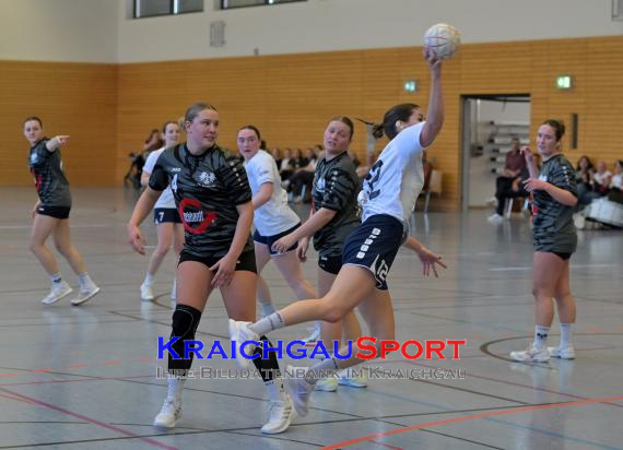 Frauen-Bezirksoberliga-RN-TV-Sinsheim-vs-TSV-Phönix-Steinsfurt (&copy; Siegfried Lörz)