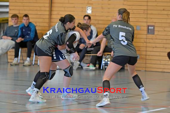 Frauen-Bezirksoberliga-RN-TV-Sinsheim-vs-TSV-Phönix-Steinsfurt (&copy; Siegfried Lörz)