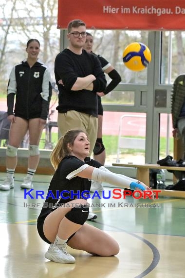 Volleyball-Oberliga-Frauen-SV-Sinsheim-vs-USC-Konstanz-II (&copy; Siegfried Lörz)