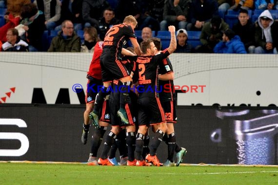 1.BL - 15/16 - TSG 1899 Hoffenheim vs. Hamburger SV (© Siegfried Lörz)